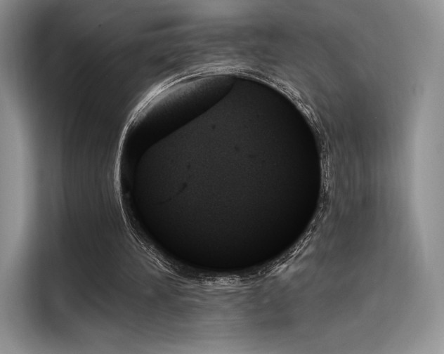 X0000114240196200910161641