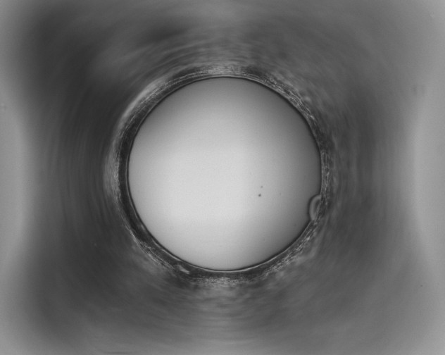 X0000114240197200910161641