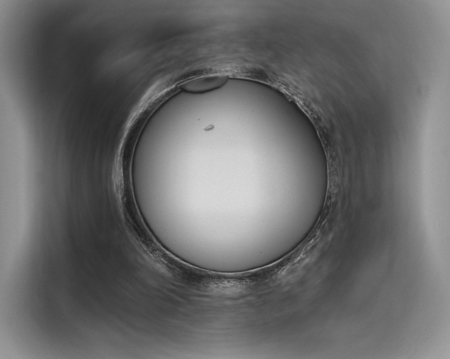 X0000114240198200910161641