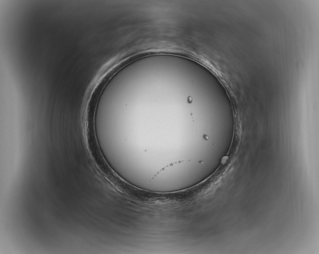 X0000114240199200910161641