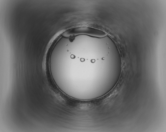 X0000114240200200910161641