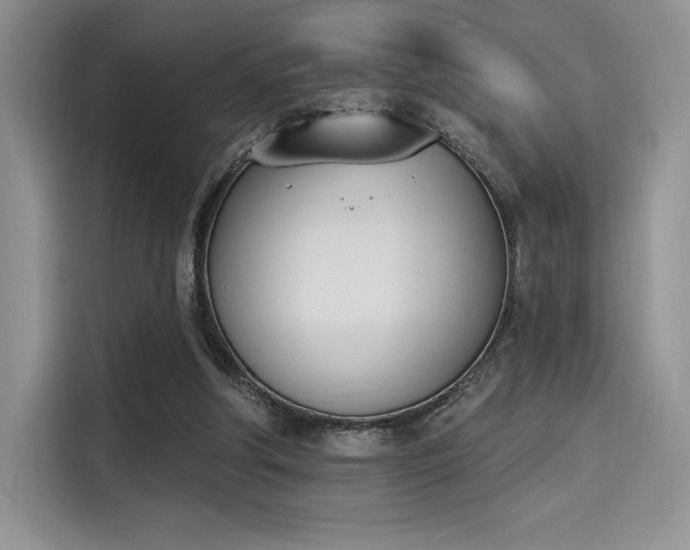 X0000114240202200910161641