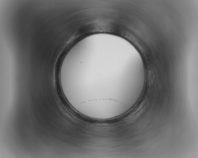 X0000114240203200910161641