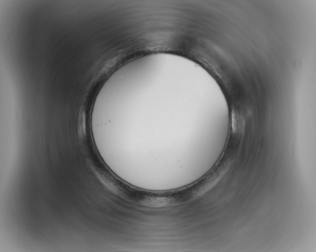 X0000114240205200910161641