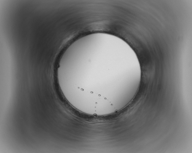 X0000114240207200910161641
