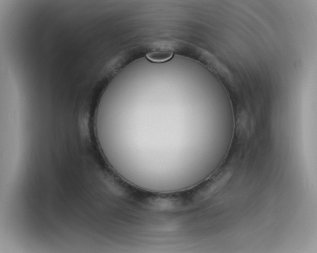 X0000114240209200910161641