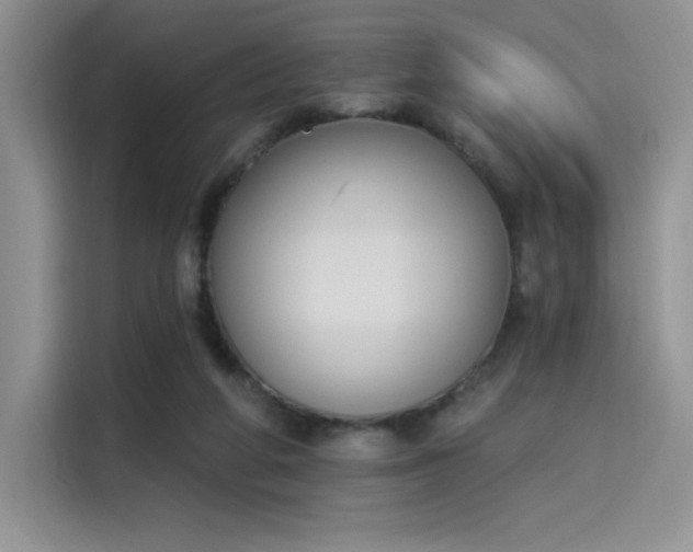X0000114240210200910161641
