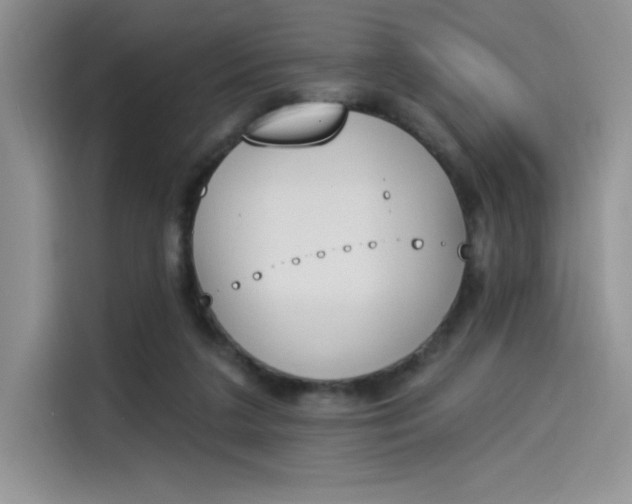 X0000114240211200910161641