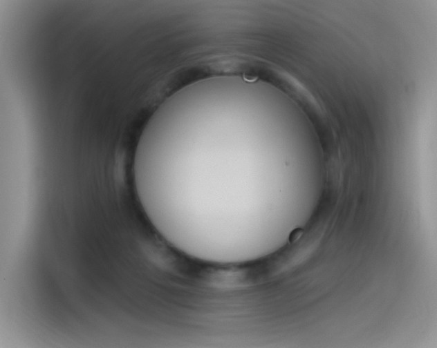 X0000114240217200910161641