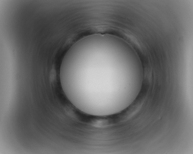 X0000114240220200910161640
