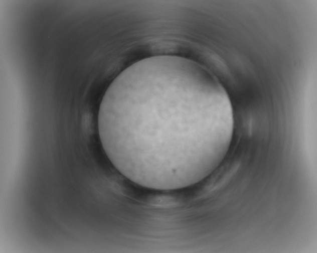 X0000114240224200910161640