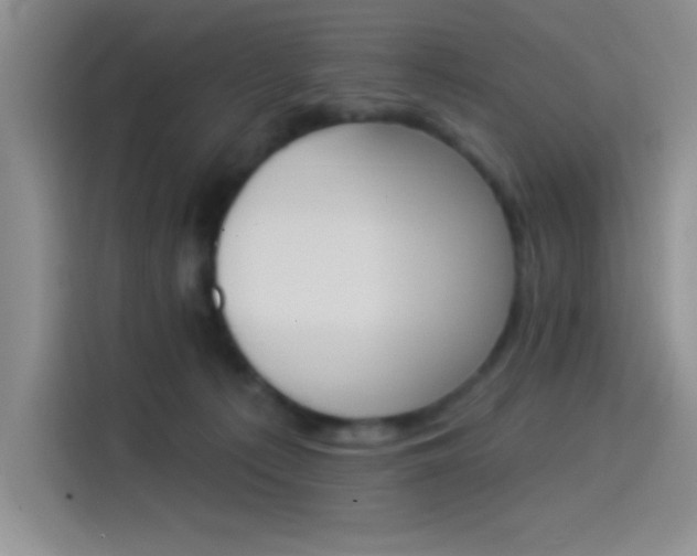 X0000114240225200910161640