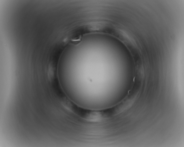 X0000114240227200910161640