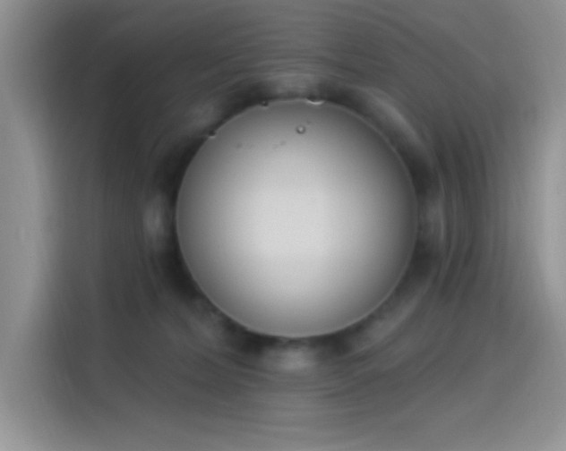 X0000114240228200910161640