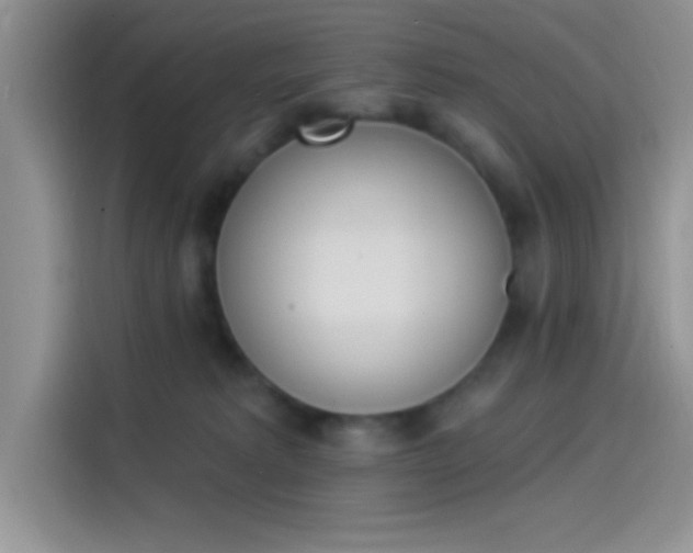 X0000114240229200910161640