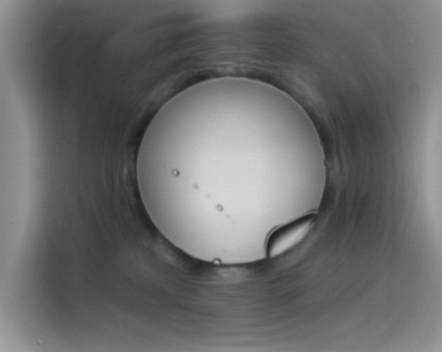 X0000114240233200910161640