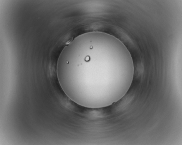 X0000114240236200910161640