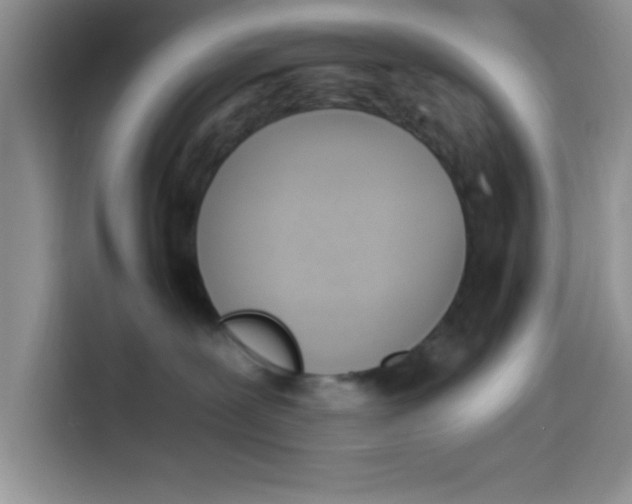 X0000114240239200910161640