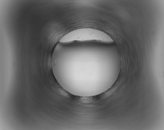 X0000114240240200910161640