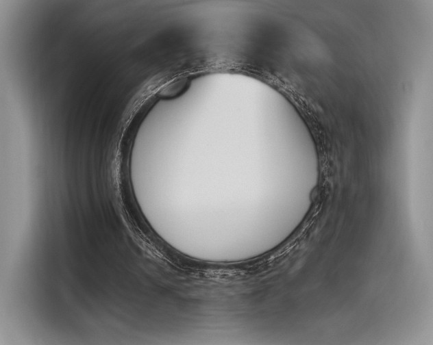 X0000114240242200910161640