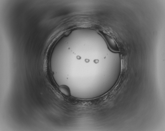 X0000114240243200910161640