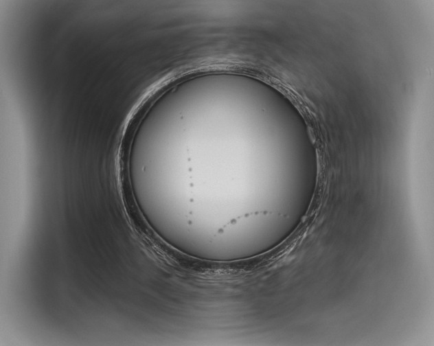 X0000114240244200910161640