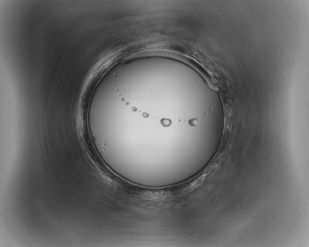 X0000114240245200910161640