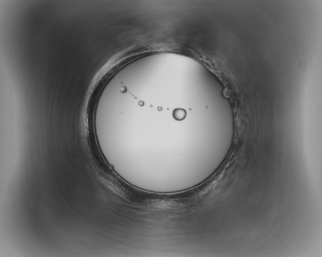 X0000114240246200910161640