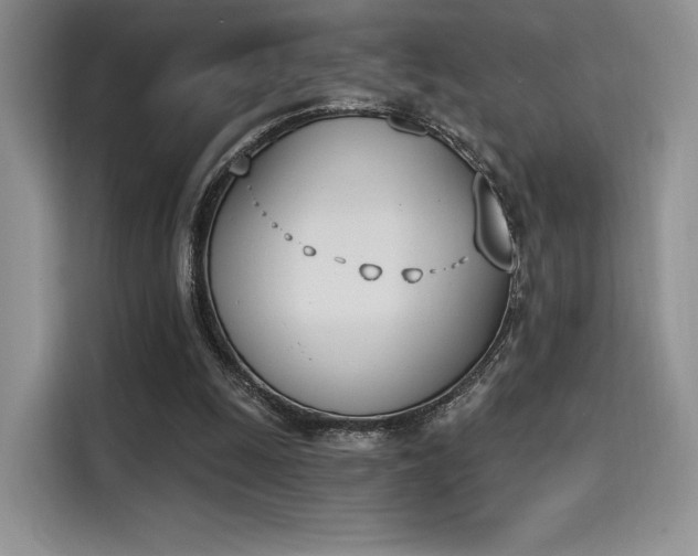 X0000114240247200910161640