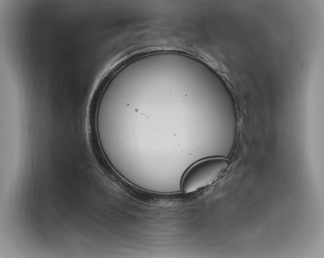 X0000114240248200910161640