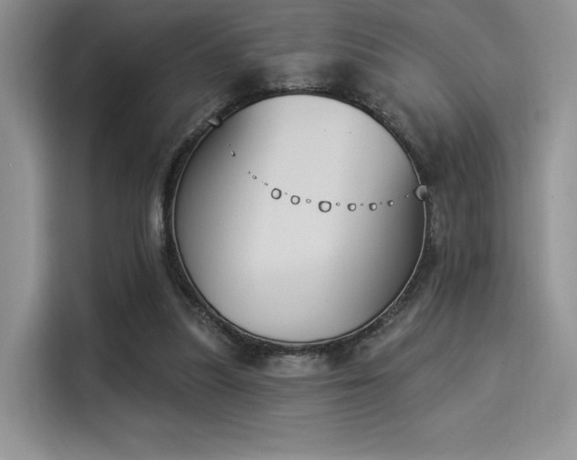 X0000114240251200910161640