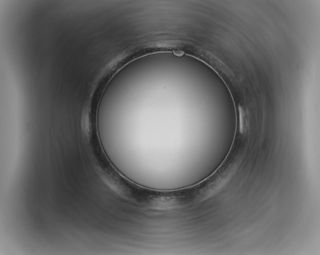 X0000114240252200910161640