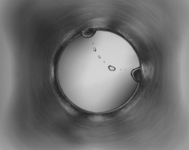 X0000114240253200910161640
