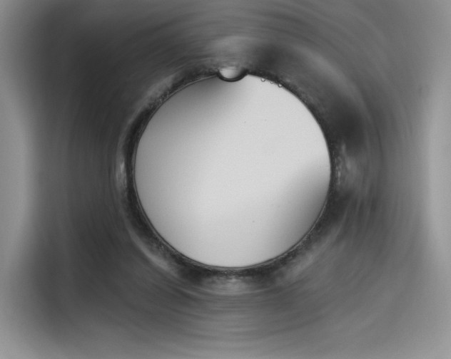X0000114240254200910161640