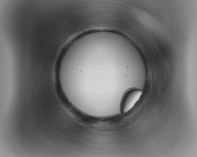 X0000114240256200910161640