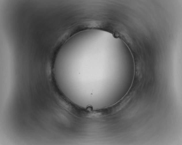 X0000114240257200910161640