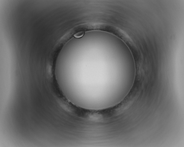 X0000114240258200910161640