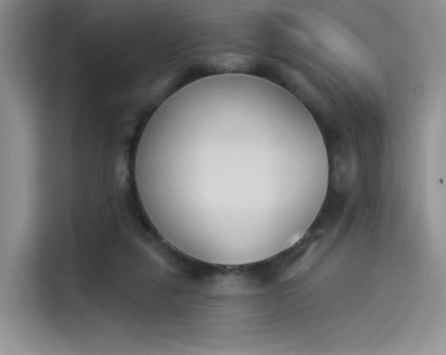 X0000114240259200910161640