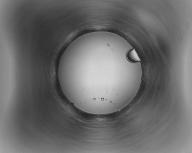 X0000114240260200910161640