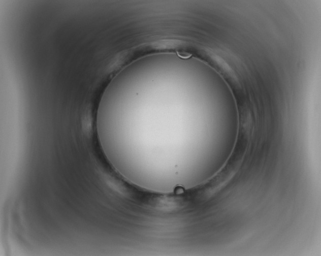 X0000114240261200910161640