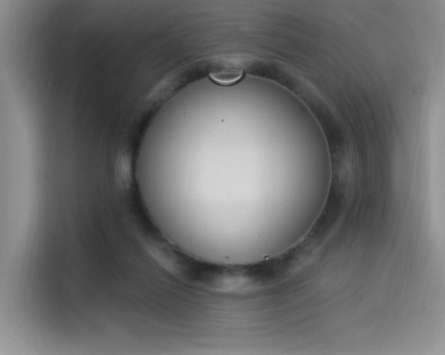 X0000114240262200910161640