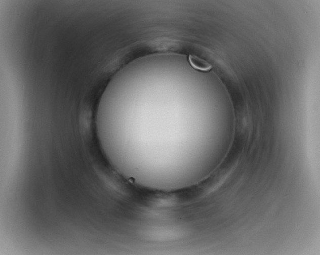 X0000114240263200910161640