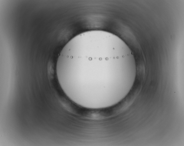 X0000114240264200910161640