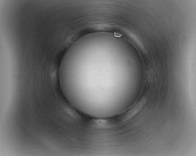 X0000114240265200910161640