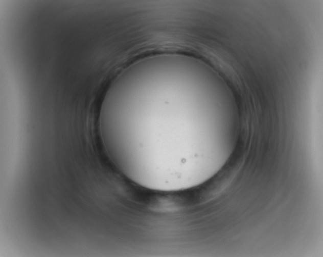 X0000114240268200910161640