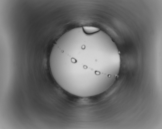X0000114240269200910161640