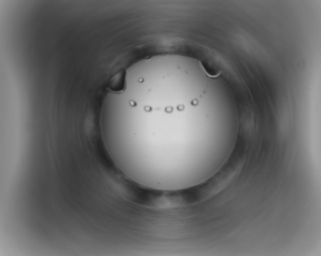 X0000114240270200910161640