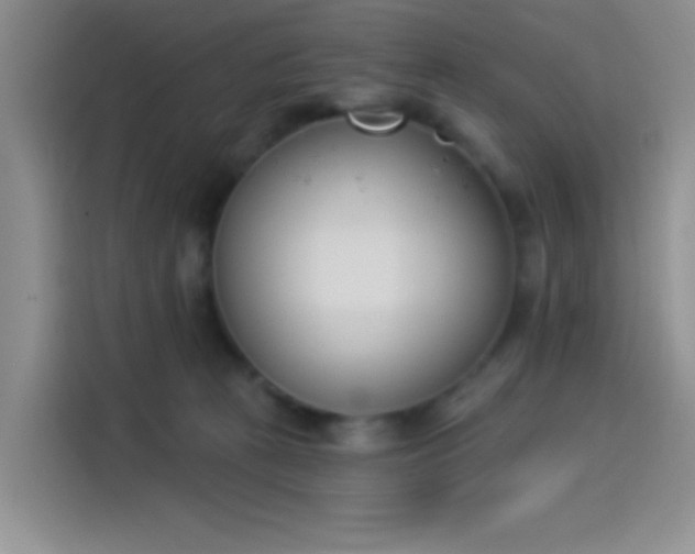 X0000114240273200910161640