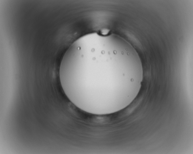 X0000114240277200910161640