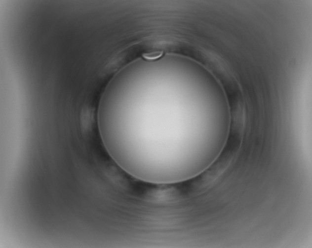 X0000114240278200910161640